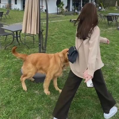 我母亲的婚礼
